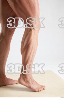 Leg reference of Dale 0011